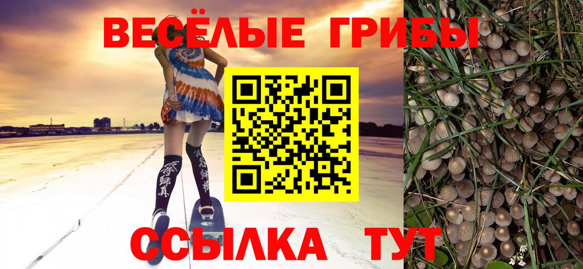Псилоцибиновые грибы мухоморы Ярцево